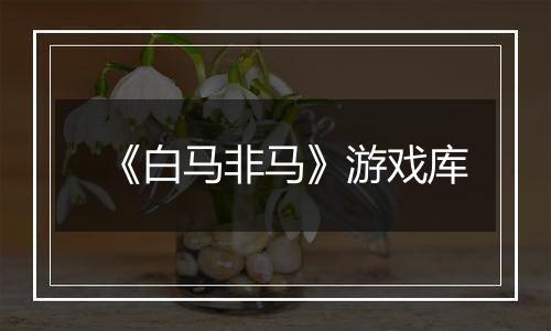 《白马非马》游戏库