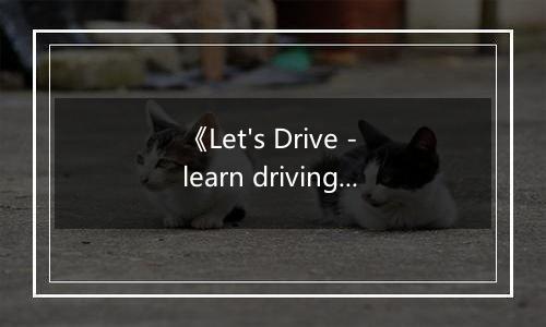 《Let's Drive - learn driving simulator》游戏库