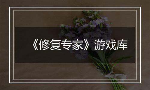 《修复专家》游戏库