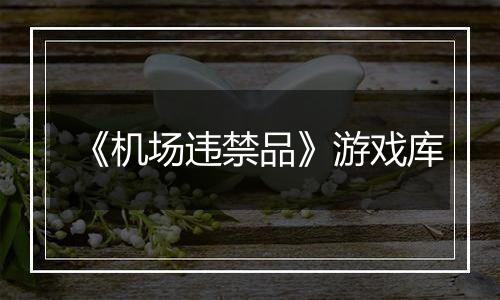 《机场违禁品》游戏库