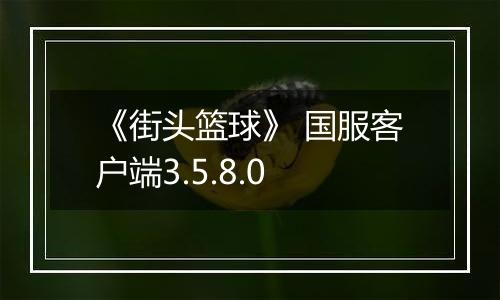 《街头篮球》 国服客户端3.5.8.0