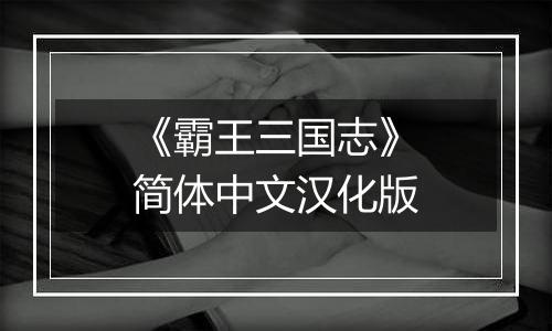 《霸王三国志》简体中文汉化版