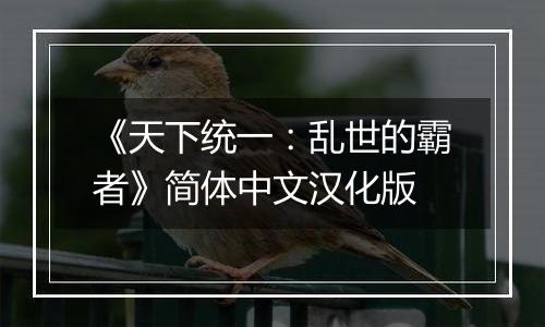 《天下统一：乱世的霸者》简体中文汉化版