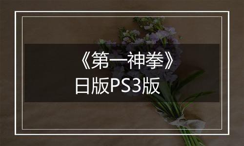 《第一神拳》日版PS3版