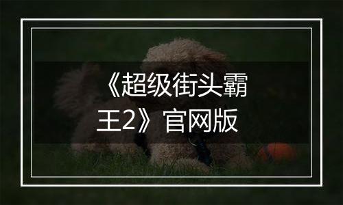 《超级街头霸王2》官网版