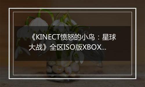 《KINECT愤怒的小鸟：星球大战》全区ISO版XBOX360版