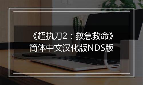 《超执刀2：救急救命》简体中文汉化版NDS版