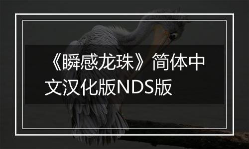 《瞬感龙珠》简体中文汉化版NDS版
