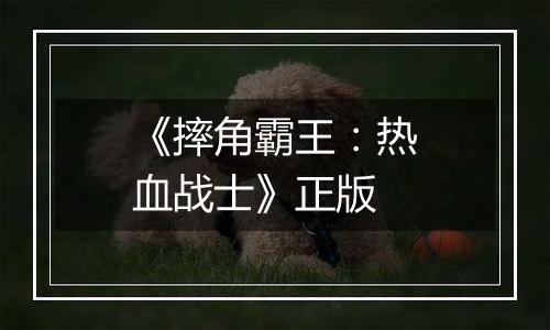 《摔角霸王：热血战士》正版