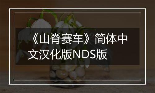 《山脊赛车》简体中文汉化版NDS版