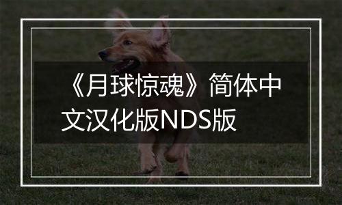 《月球惊魂》简体中文汉化版NDS版
