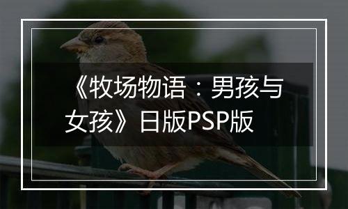 《牧场物语:男孩与女孩》日版PSP版