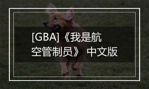 [GBA]《我是航空管制员》 中文版
