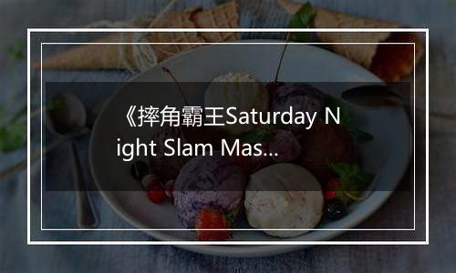《摔角霸王Saturday Night Slam Masters》官方版