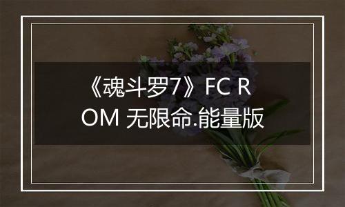 《魂斗罗7》FC ROM 无限命.能量版