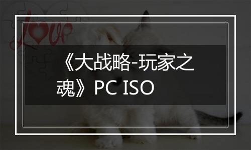 《大战略-玩家之魂》PC ISO