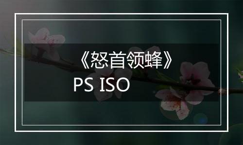 《怒首领蜂》PS ISO