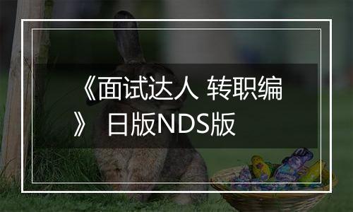 《面试达人 转职编》 日版NDS版