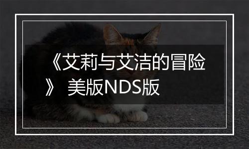 《艾莉与艾洁的冒险》 美版NDS版