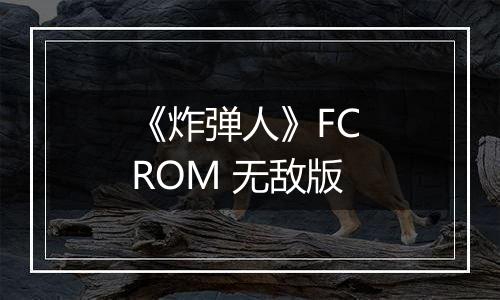 《炸弹人》FC ROM 无敌版