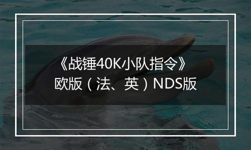 《战锤40K小队指令》 欧版（法、英）NDS版