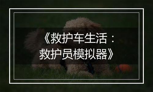 《救护车生活：救护员模拟器》
