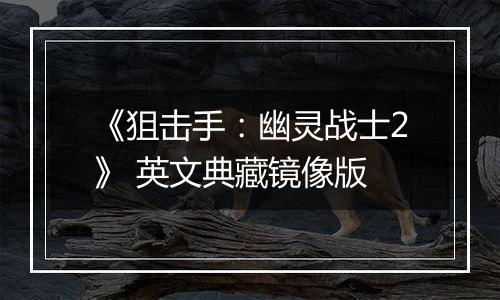 《狙击手：幽灵战士2》 英文典藏镜像版