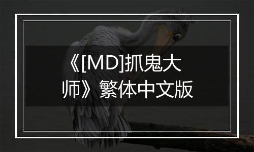 《[MD]抓鬼大师》繁体中文版