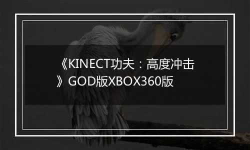 《KINECT功夫：高度冲击》GOD版XBOX360版