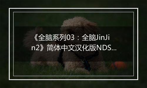 《全脑系列03：全脑JinJin2》简体中文汉化版NDS版