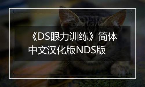 《DS眼力训练》简体中文汉化版NDS版
