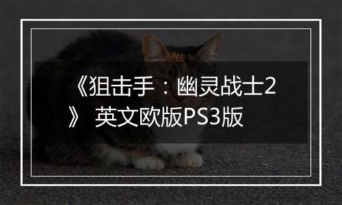 《狙击手：幽灵战士2》 英文欧版PS3版