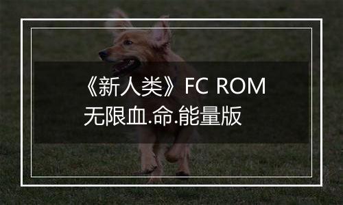 《新人类》FC ROM 无限血.命.能量版